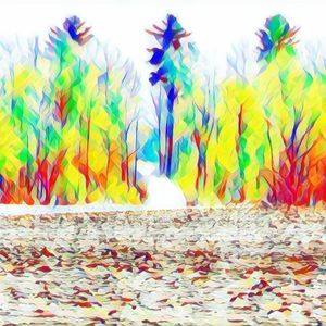 "Abstract" Woodlands 8.5 inch's X 11 inch's